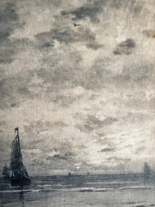 Vintage Marine Life Print - Image 5