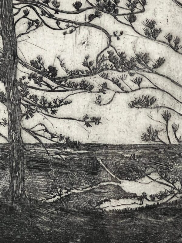 Mid-Century Forest Lithograph - Image 2